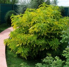 image (7)8